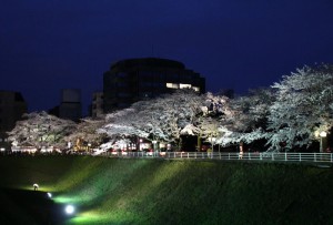 桜・三の丸庁舎