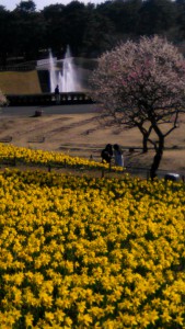 WP_20170316_14_54_38_Pro