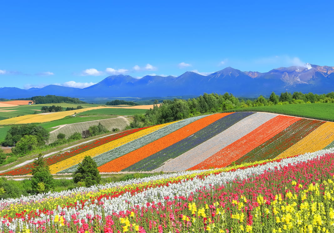 大自然イメージ