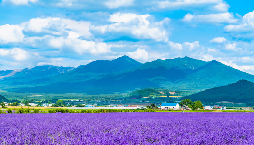 富良野イメージ
