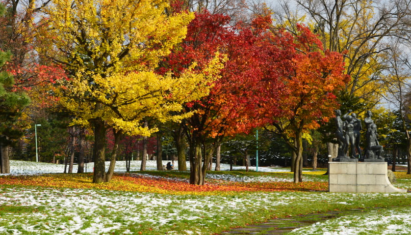 常盤公園イメージ