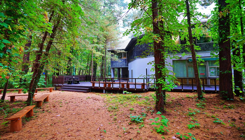 三浦綾子記念文学館イメージ