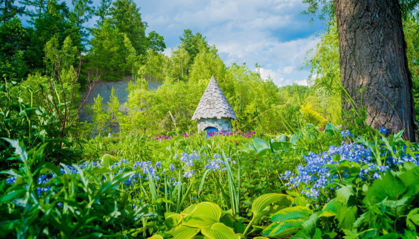 上野ファームイメージ
