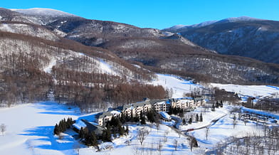 コンセプト イメージ