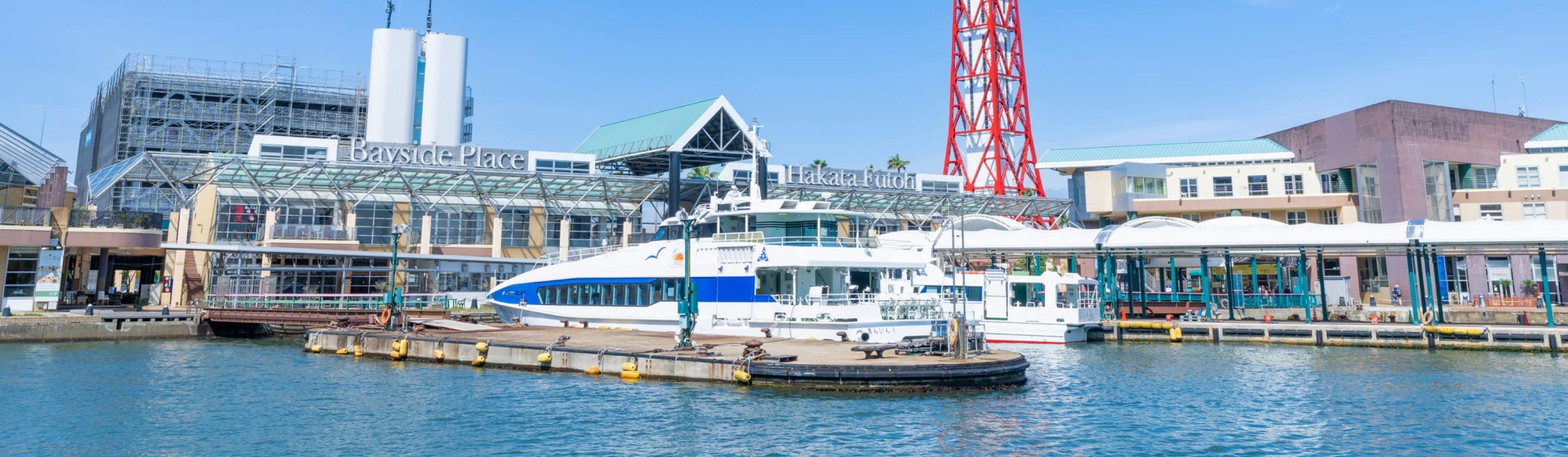 周辺情報 イメージ