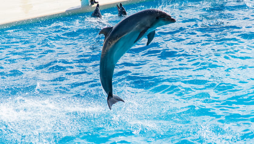 マリンワールド海の中道イメージ