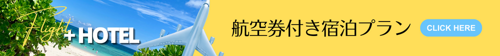 航空券付き宿泊プラン