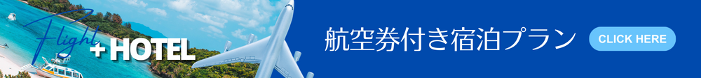 航空券付き宿泊プラン