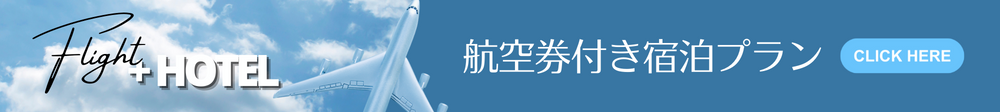 航空券付き宿泊プラン