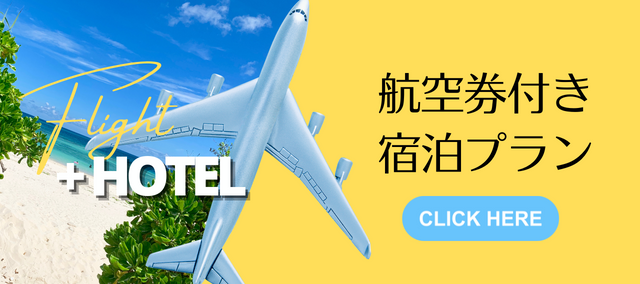 航空券付き宿泊プラン