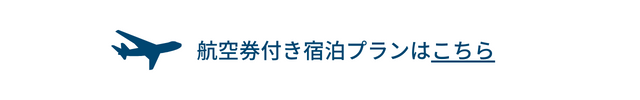 航空券付き宿泊プラン