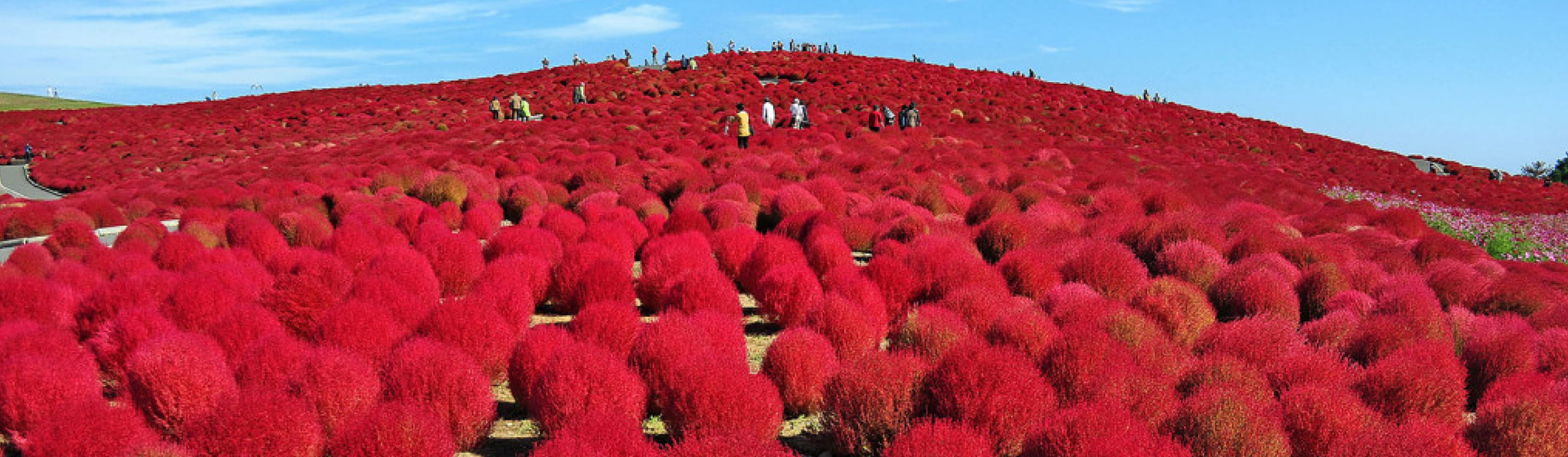 周辺情報 イメージ