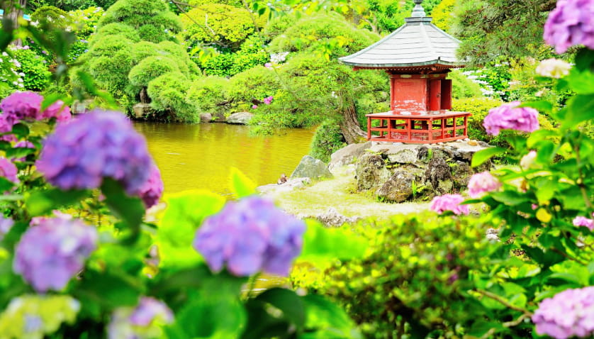 保和苑イメージ