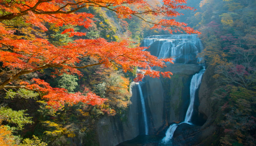 袋田の滝イメージ