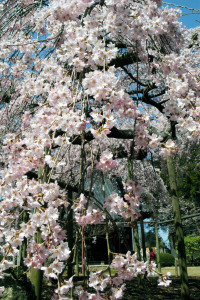 六地蔵寺