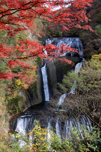 袋田の滝　紅葉　無料