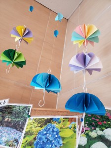 紫陽花雨傘ロビー
