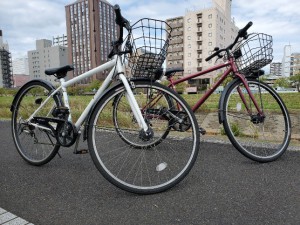 レンタサイクル２_copy_644x483