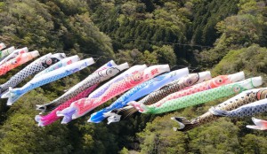 竜神大橋　こいのぼり