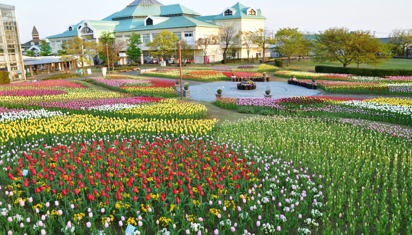 新潟ふるさと村イメージ