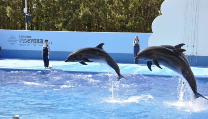 マリンピア日本海イメージ