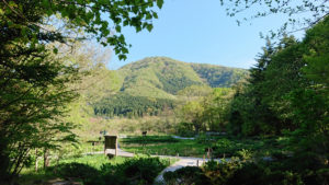 箱根湿生花園