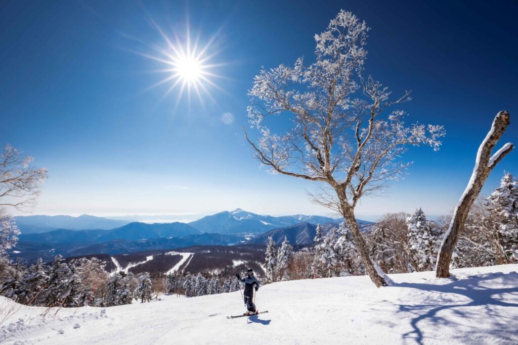 お知らせサムネイル